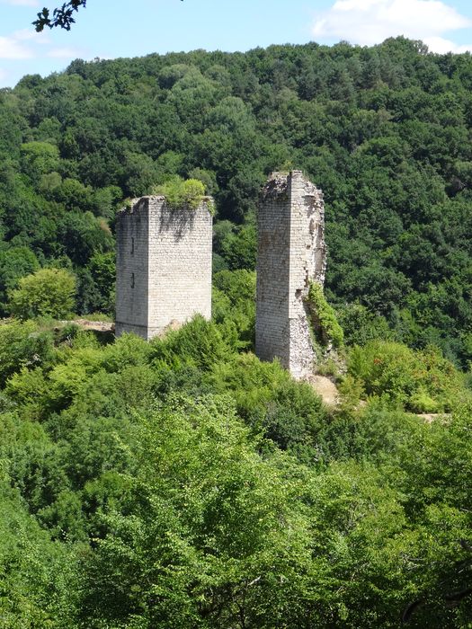 vue générale des vestiges dans leur environnement