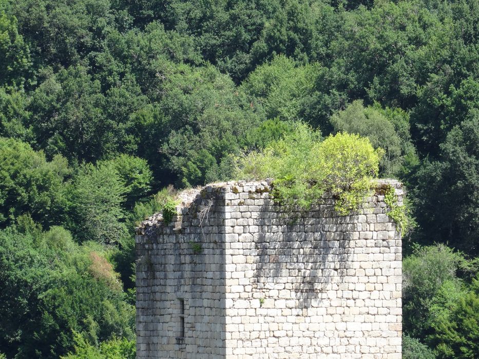 vue partielle des vestiges