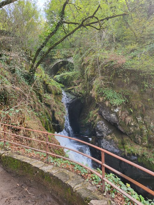 vue partielle du parc, rivière de la Gour
