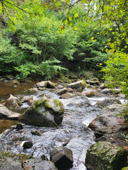 vue partielle du parc, rivière de la Gour
