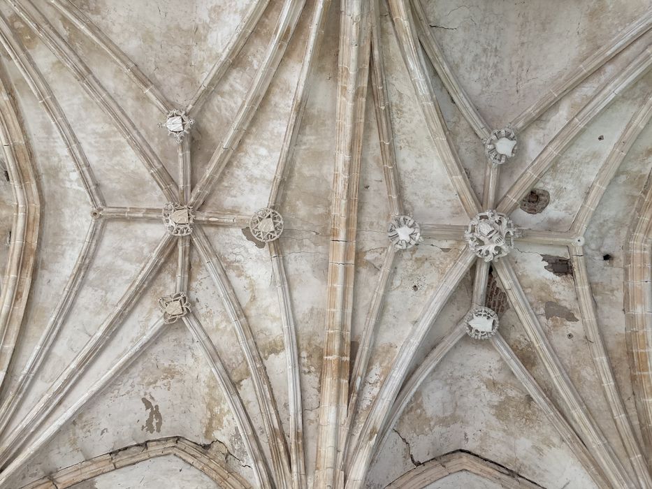 chapelle, vue partielle des voûtes de la nef