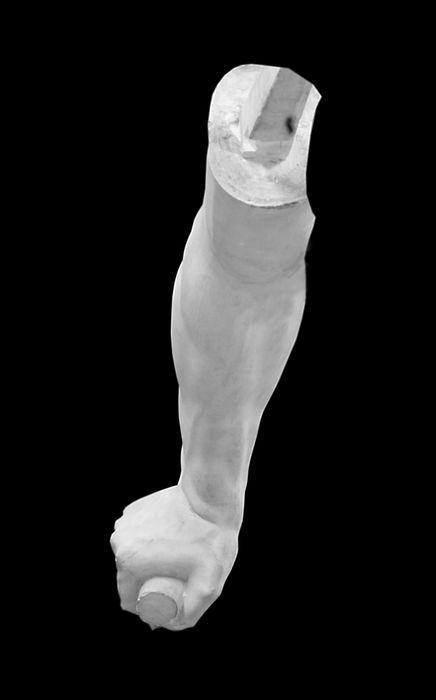 statue : Guerrier combattant, dit « Gladiateur Borghèse » (D-79-4-238)