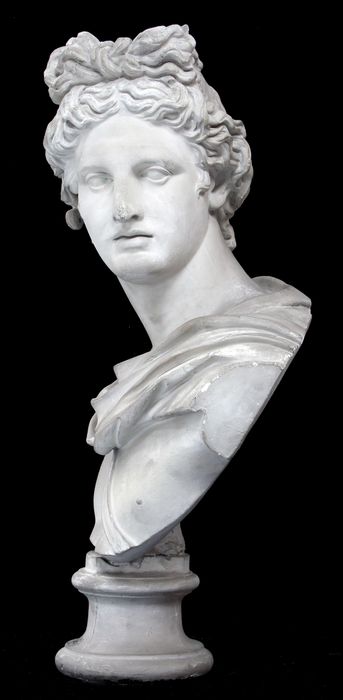 buste : Apollon, dit « Apollon du Belvédère » (D-79-4-246)