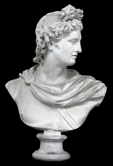 buste : Apollon, dit « Apollon du Belvédère » (D-79-4-246)