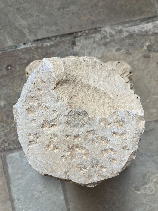 chapiteau à feuillages d’acanthes