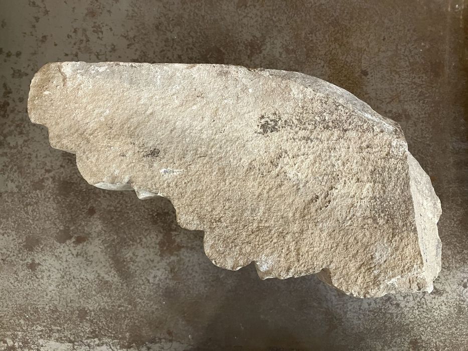 élément de corniche moulurée (?) - © Ministère de la Culture (France), Conservation des antiquités et des objets d’art de l’Hérault – Tous droits réservés 