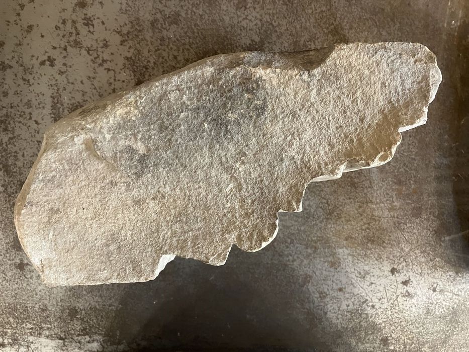 élément de corniche moulurée (?) - © Ministère de la Culture (France), Conservation des antiquités et des objets d’art de l’Hérault – Tous droits réservés 