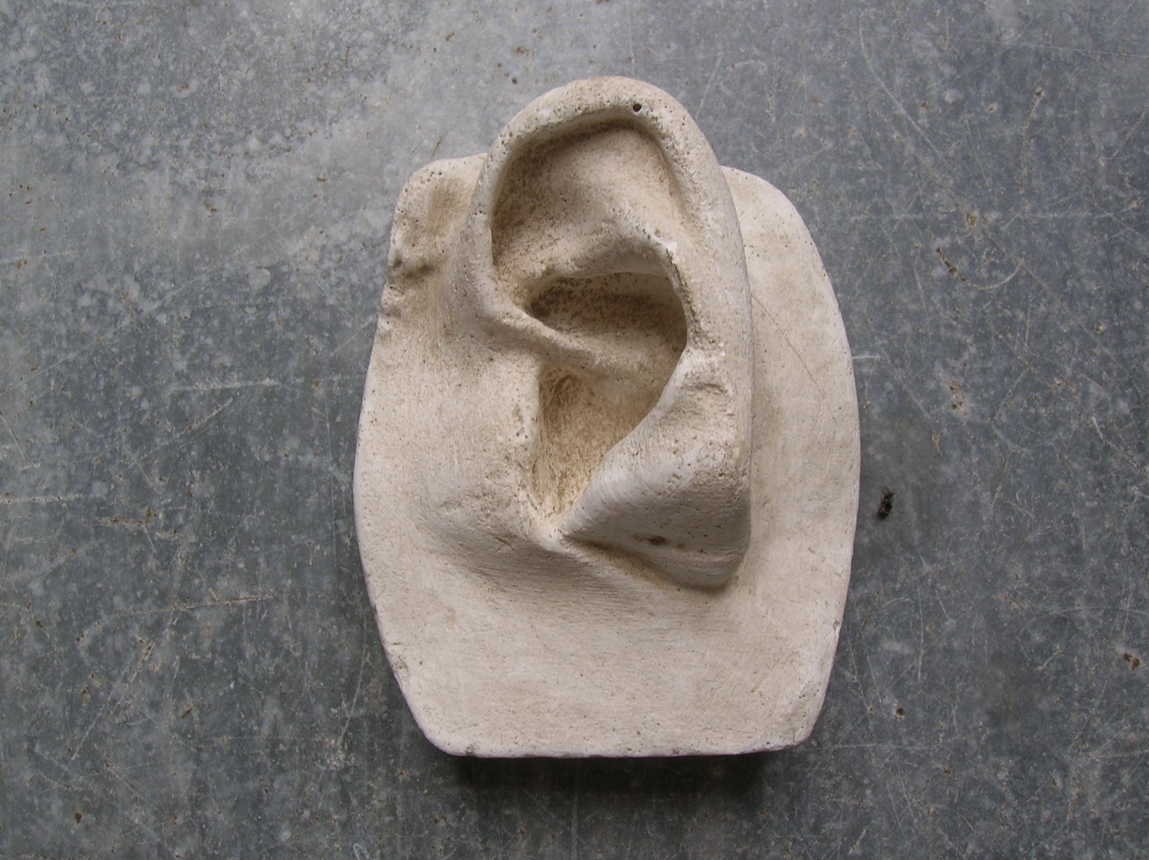 Moulage de l'oreille gauche du Prince de Talleyrand