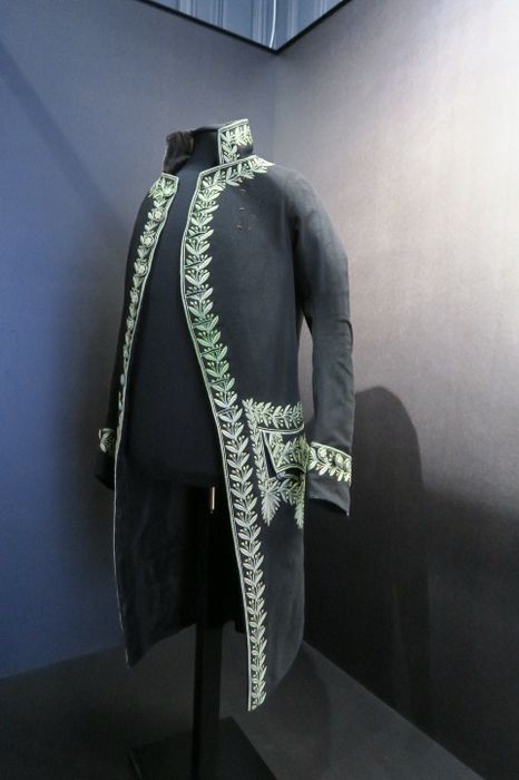 veste (redingote d'académicien), vue générale