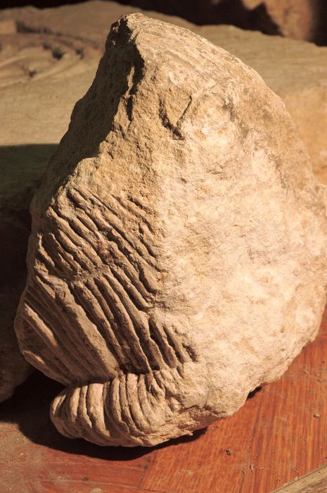 fragment de sculpture (collection lapidaire)