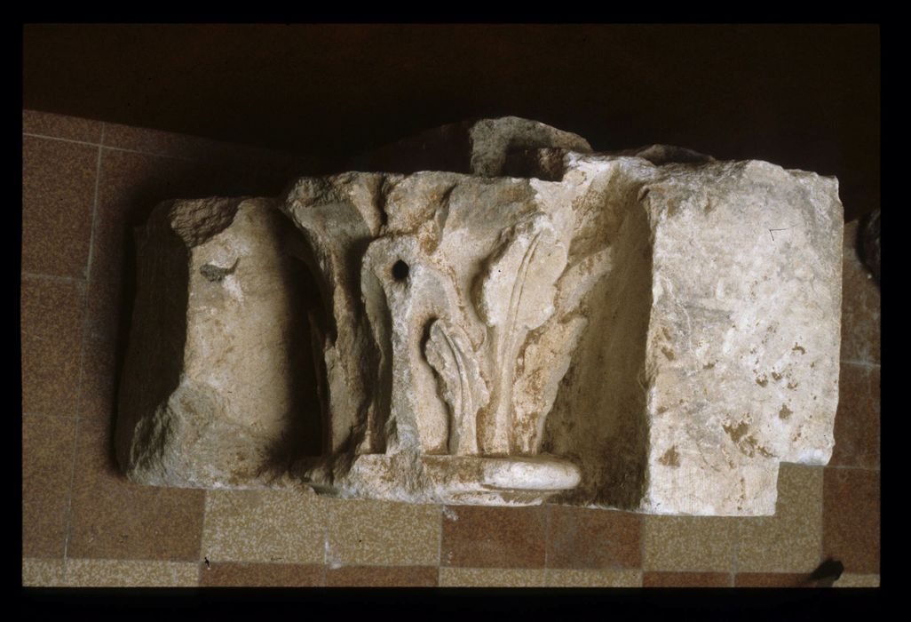fragment de sculpture (collection lapidaire)