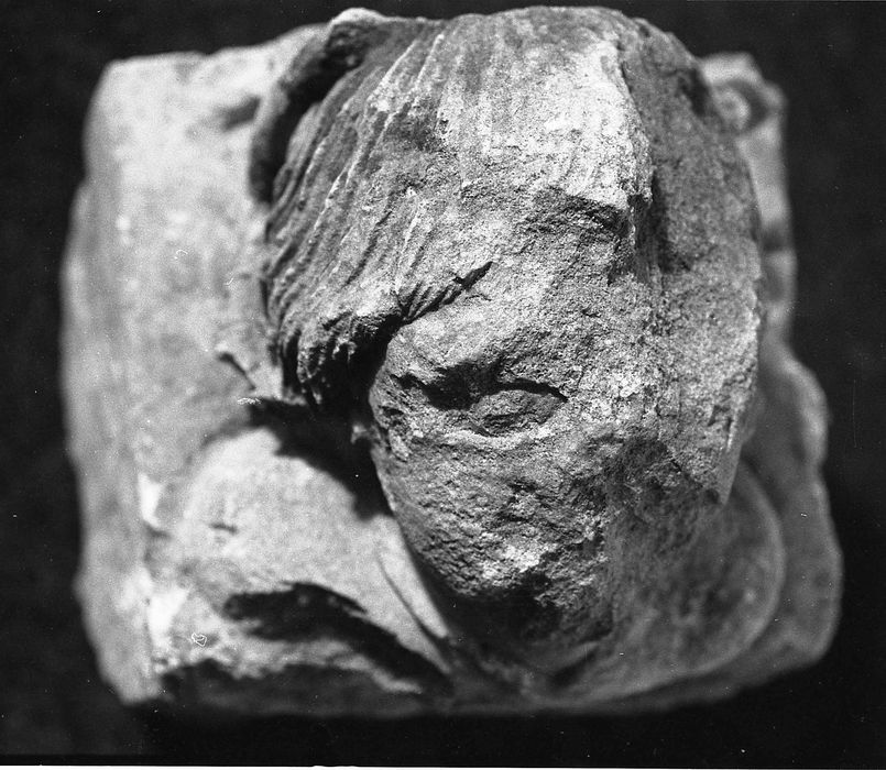 fragment de sculpture (collection lapidaire)