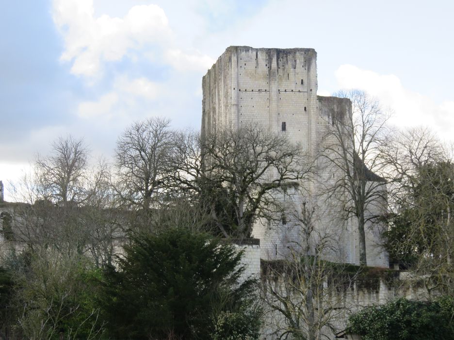 Château et son enceinte : Ensemble sud, vue générale