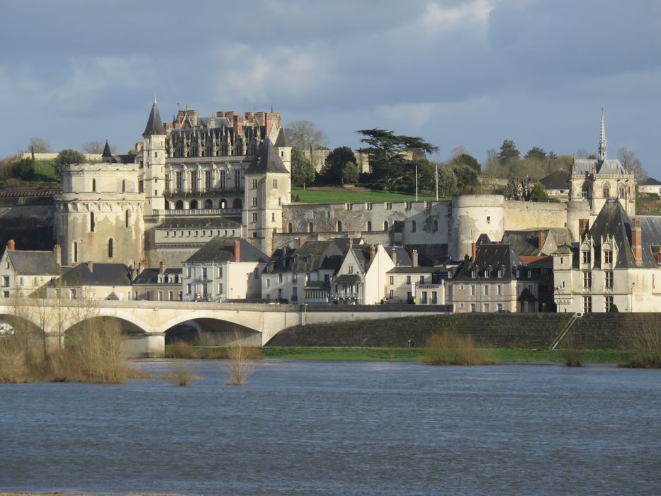 Château : Vue générale du château depuis la rive nord de la Loire