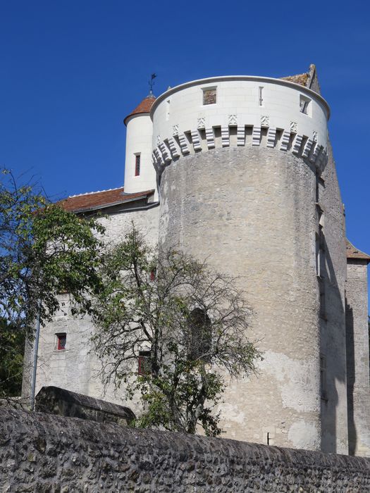 Ruines du château : Tour sud-est, vue générale