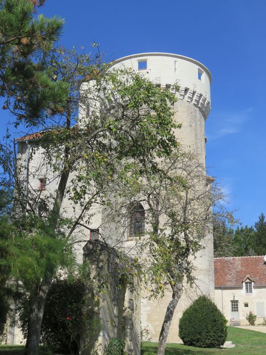 Ruines du château : Tour sud-est, vue partielle