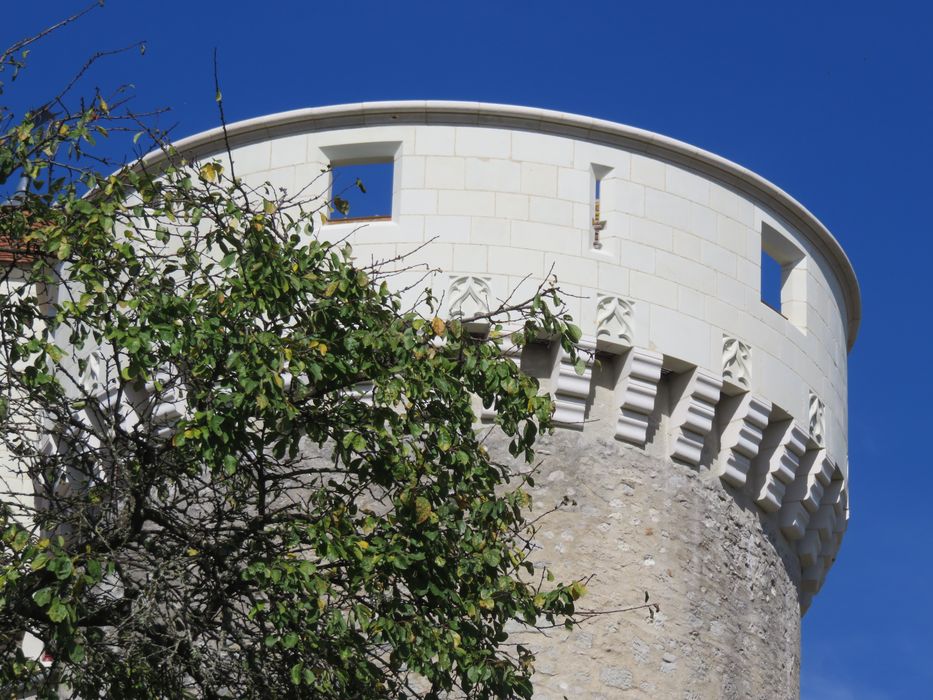 Ruines du château : Tour sud-est, vue partielle