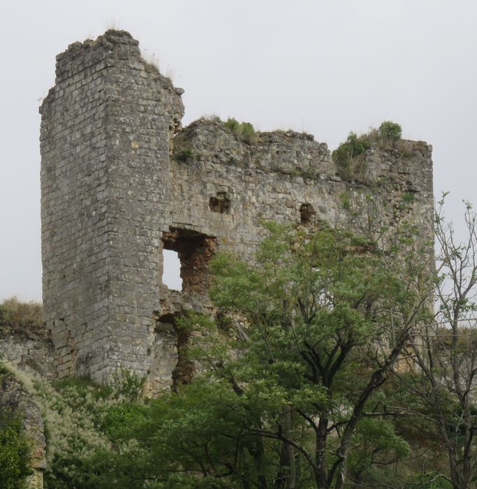 Ruines du donjon d'Etableaux : Vue partielle des ruines depuis le Sud-Ouest