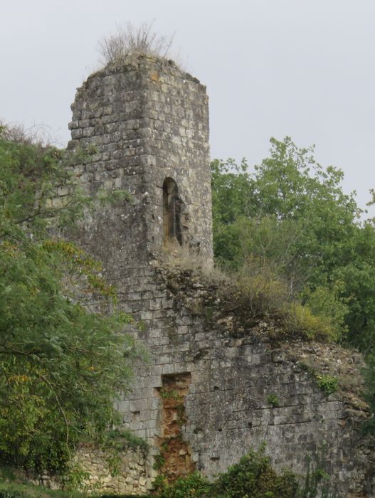 Ruines du donjon d'Etableaux : Vue partielle des ruines