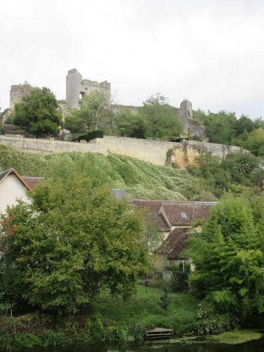 Ruines du donjon d'Etableaux : Vue générale des ruines dans leur environnement depuis le Sud-Ouest