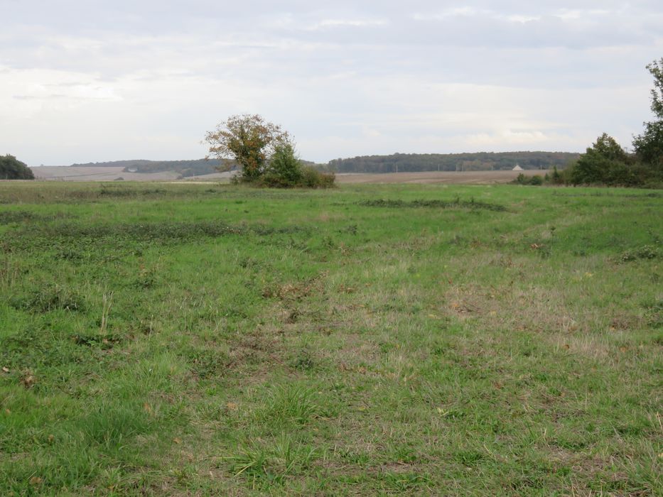 Vestiges du fanum gallo-romain : Vue générale du site