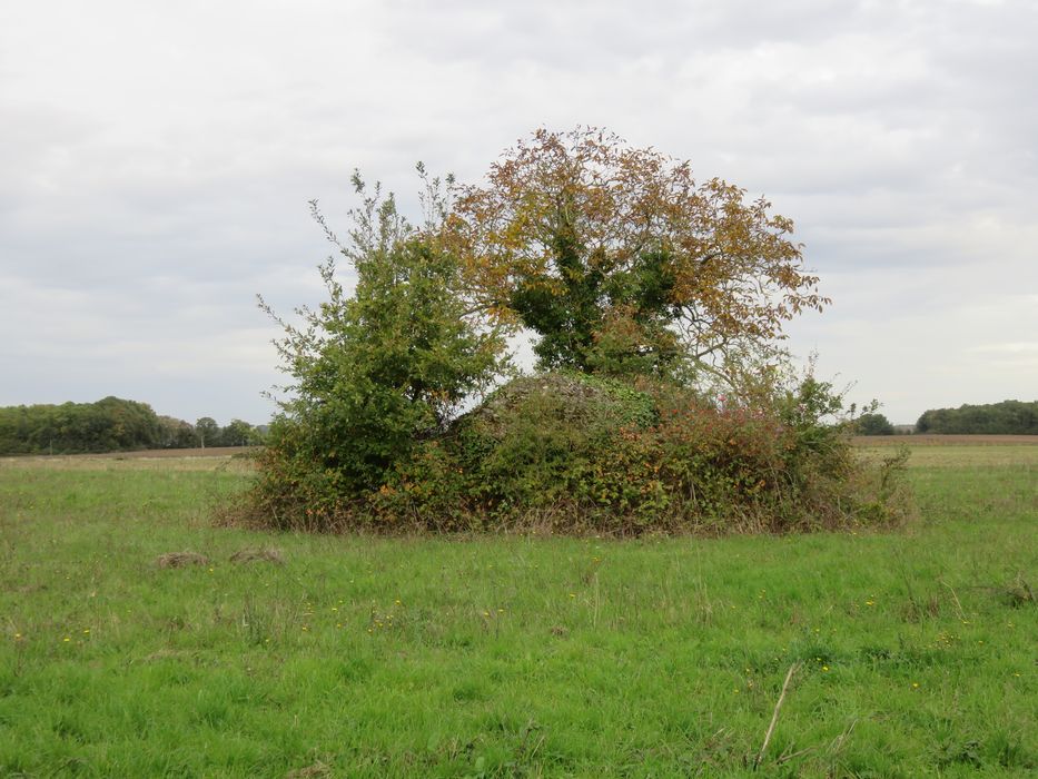 Vestiges du fanum gallo-romain : Vue partielle des vestiges