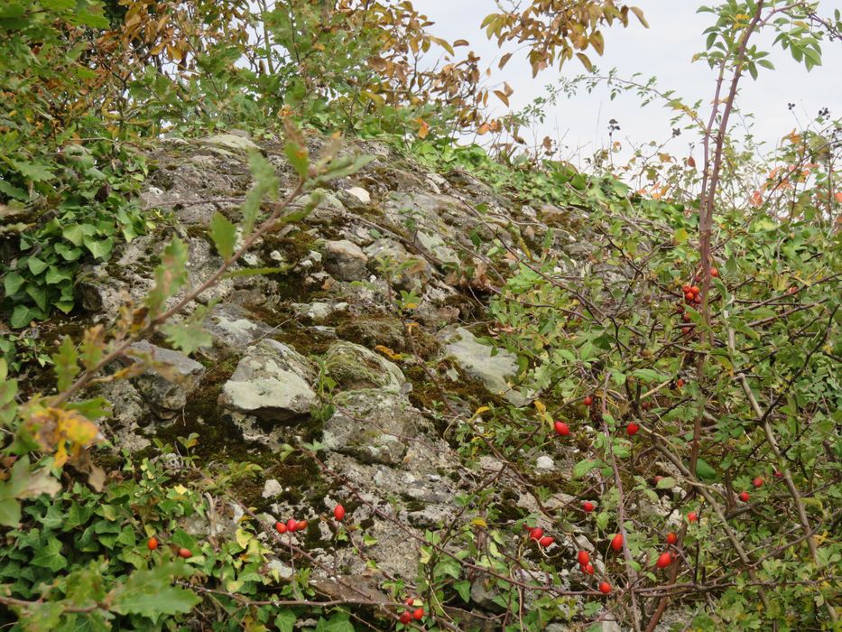 Vestiges du fanum gallo-romain : Vue partielle des vestiges