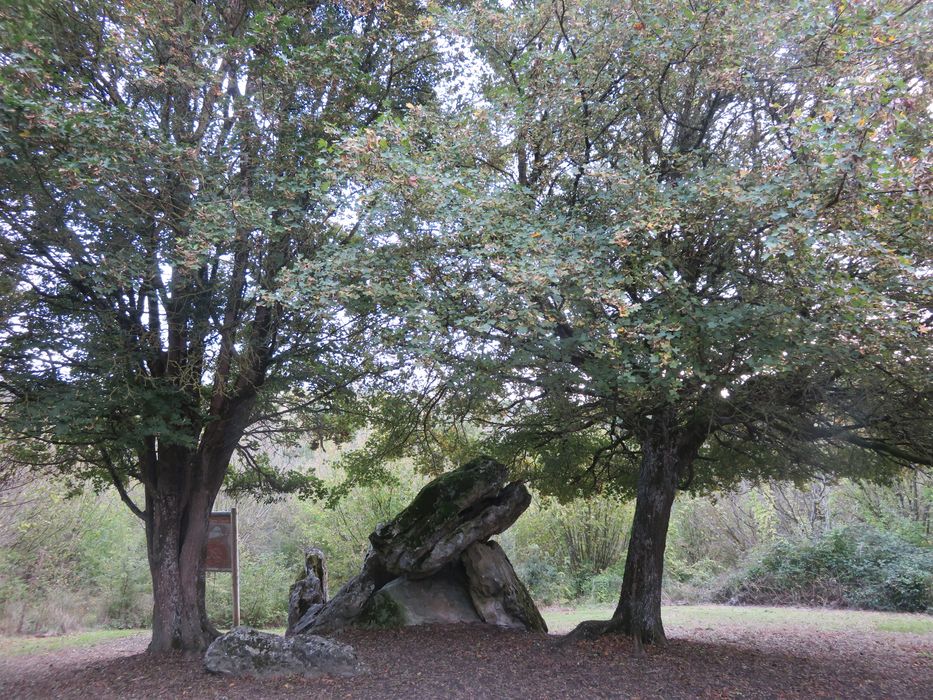 Dolmen dit Pierre Chaude, vue générale du site