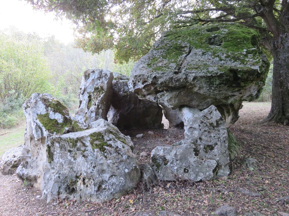 Dolmen dit Pierre Chaude, vue générale