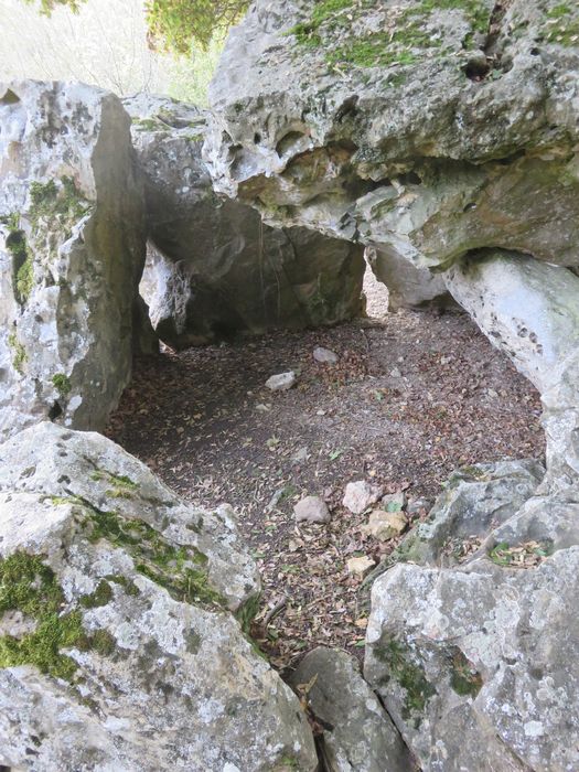 Dolmen dit Pierre Chaude, vue partielle