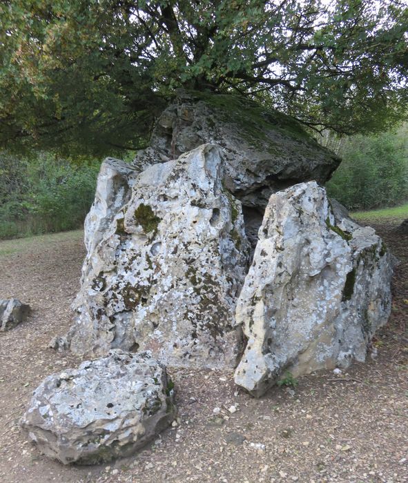 Dolmen dit Pierre Chaude, vue générale