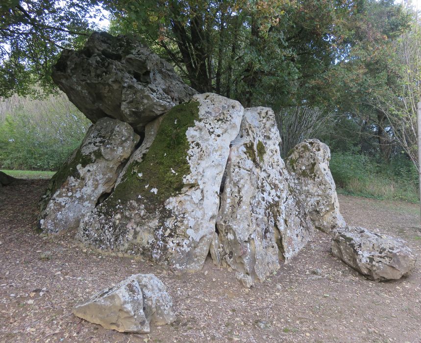 Dolmen dit Pierre Chaude, vue générale