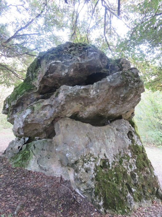 Dolmen dit Pierre Chaude, vue générale