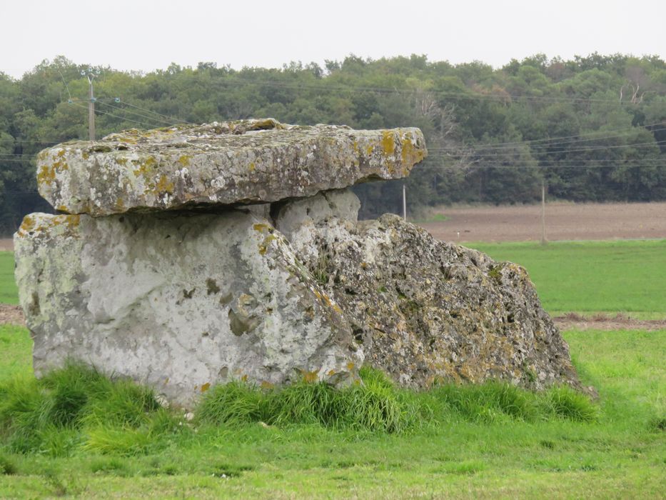 Dolmen de Bommiers, vue générale