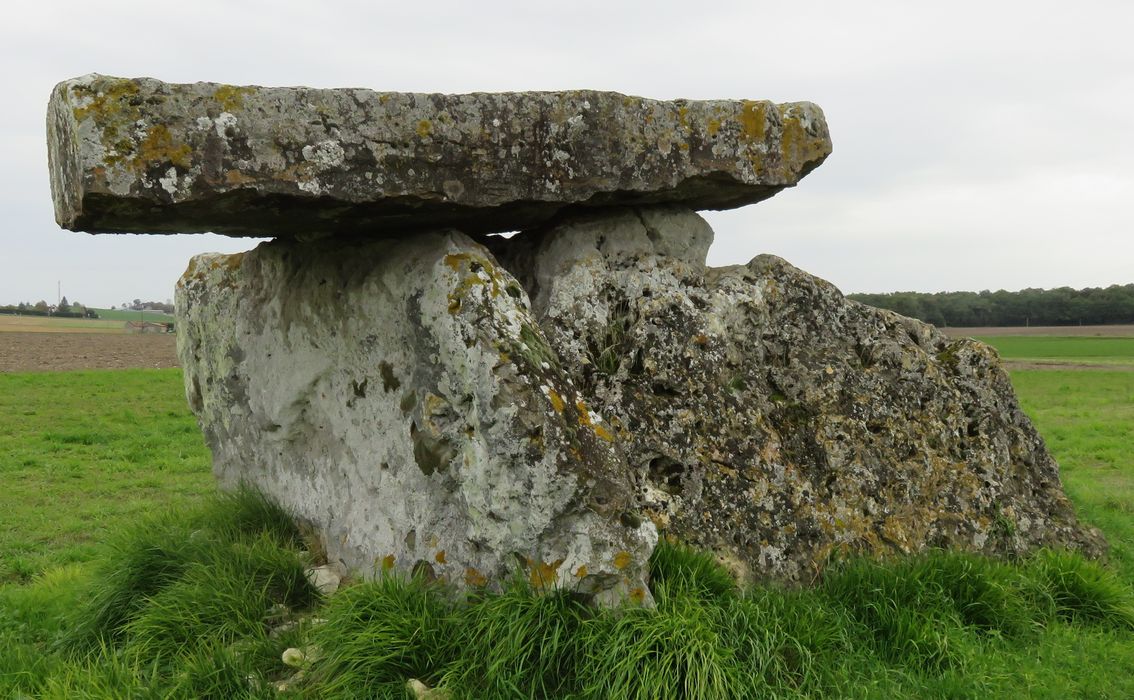 Dolmen de Bommiers, vue générale