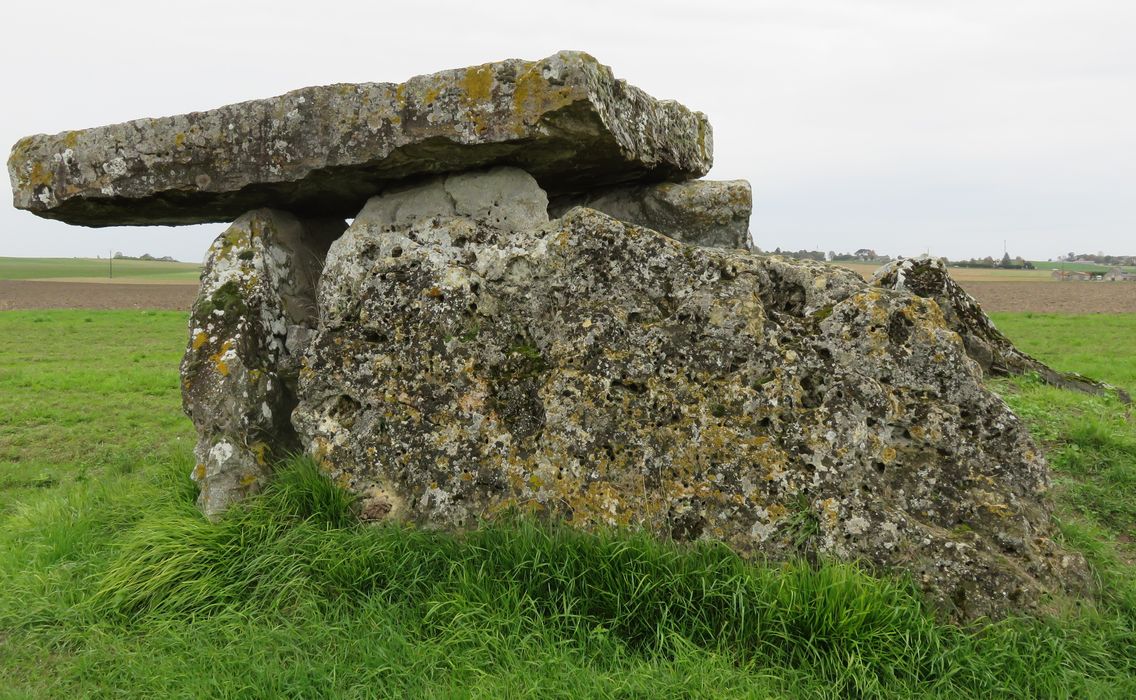 Dolmen de Bommiers, vue générale