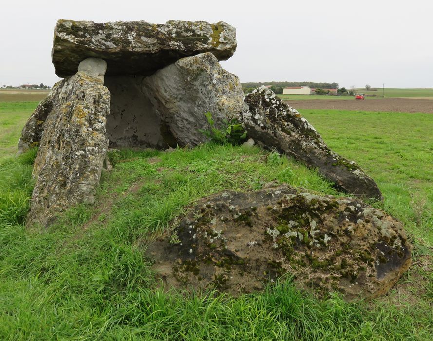 Dolmen de Bommiers, vue générale