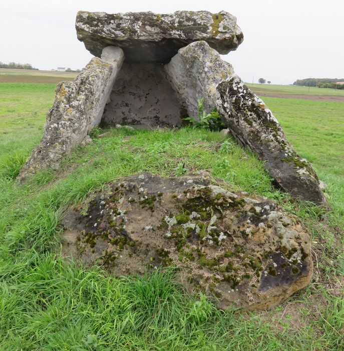 Dolmen de Bommiers, vue générale