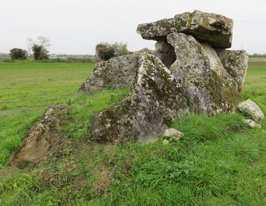 Dolmen de Bommiers, vue générale