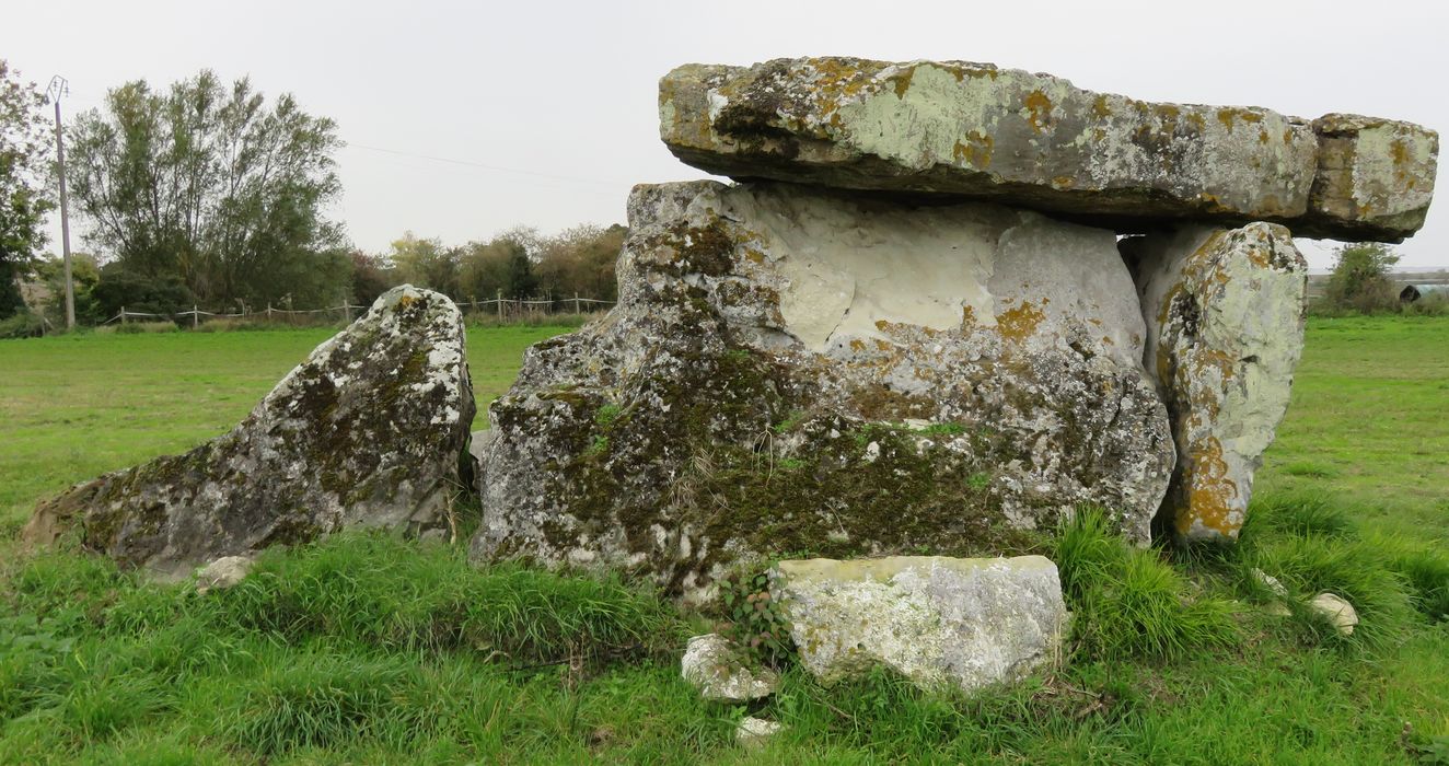 Dolmen de Bommiers, vue générale