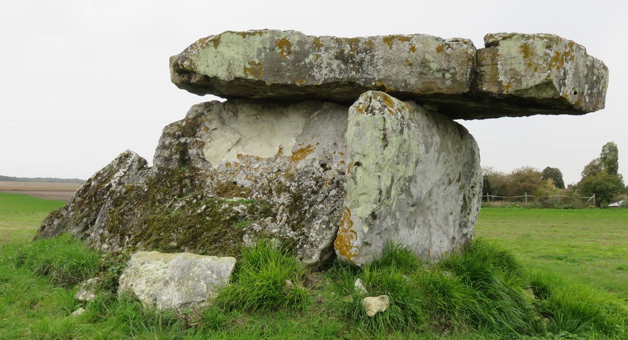 Dolmen de Bommiers, vue générale