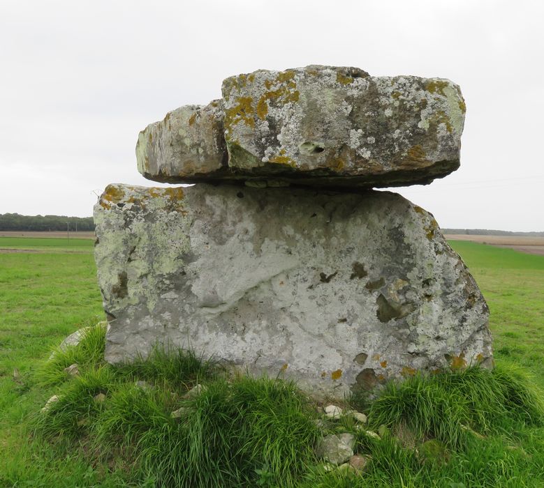 Dolmen de Bommiers, vue générale