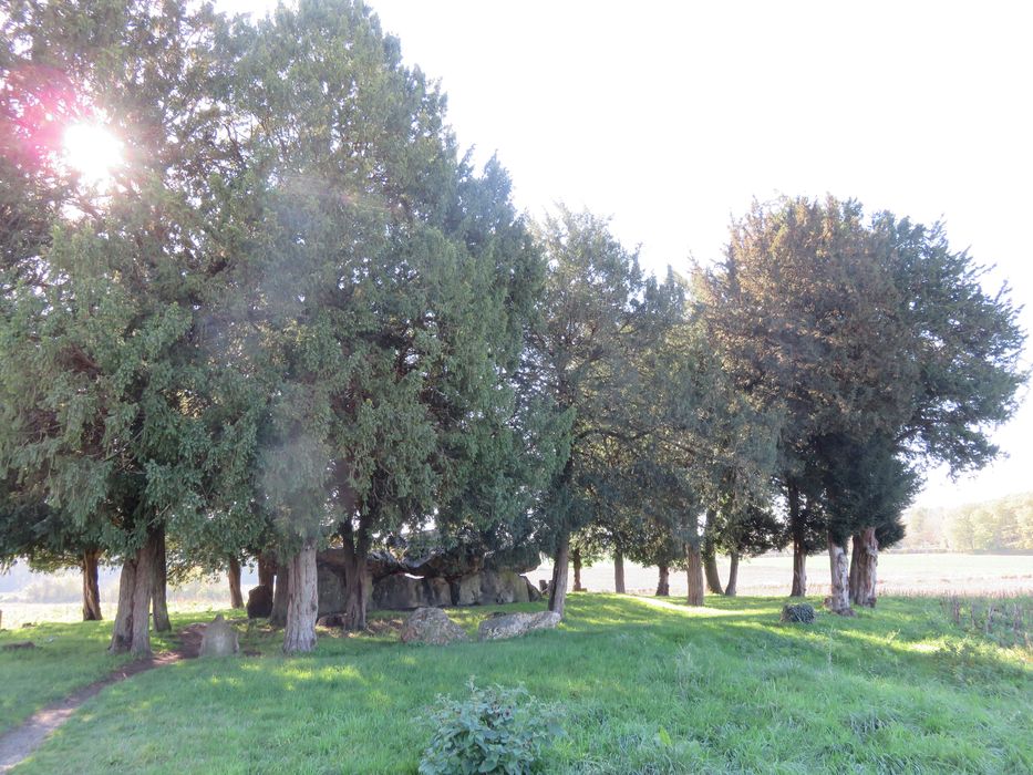 Dolmen dit de Mettray ou de la Grotte aux Fées, vue générale du site