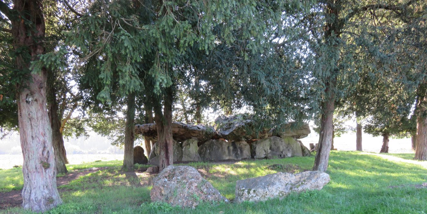 Dolmen dit de Mettray ou de la Grotte aux Fées, vue générale du site