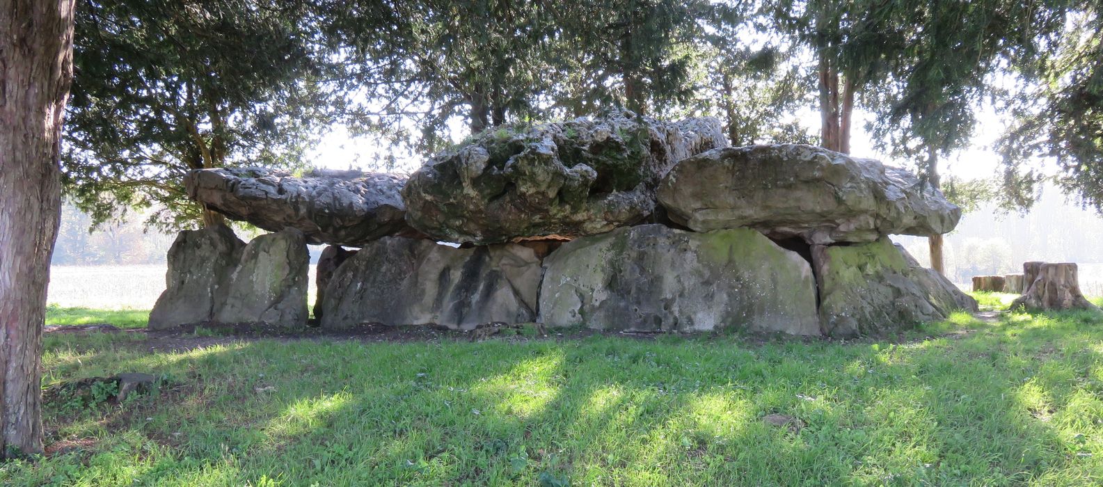 Dolmen dit de Mettray ou de la Grotte aux Fées, vue générale