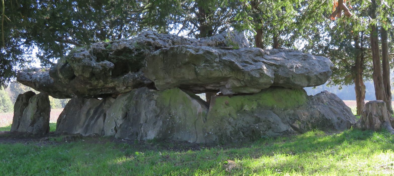 Dolmen dit de Mettray ou de la Grotte aux Fées, vue générale