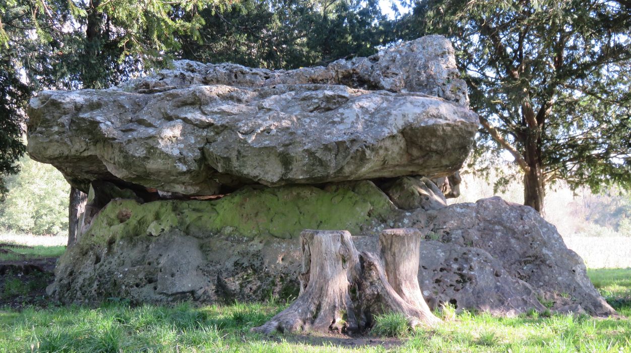 Dolmen dit de Mettray ou de la Grotte aux Fées, vue générale