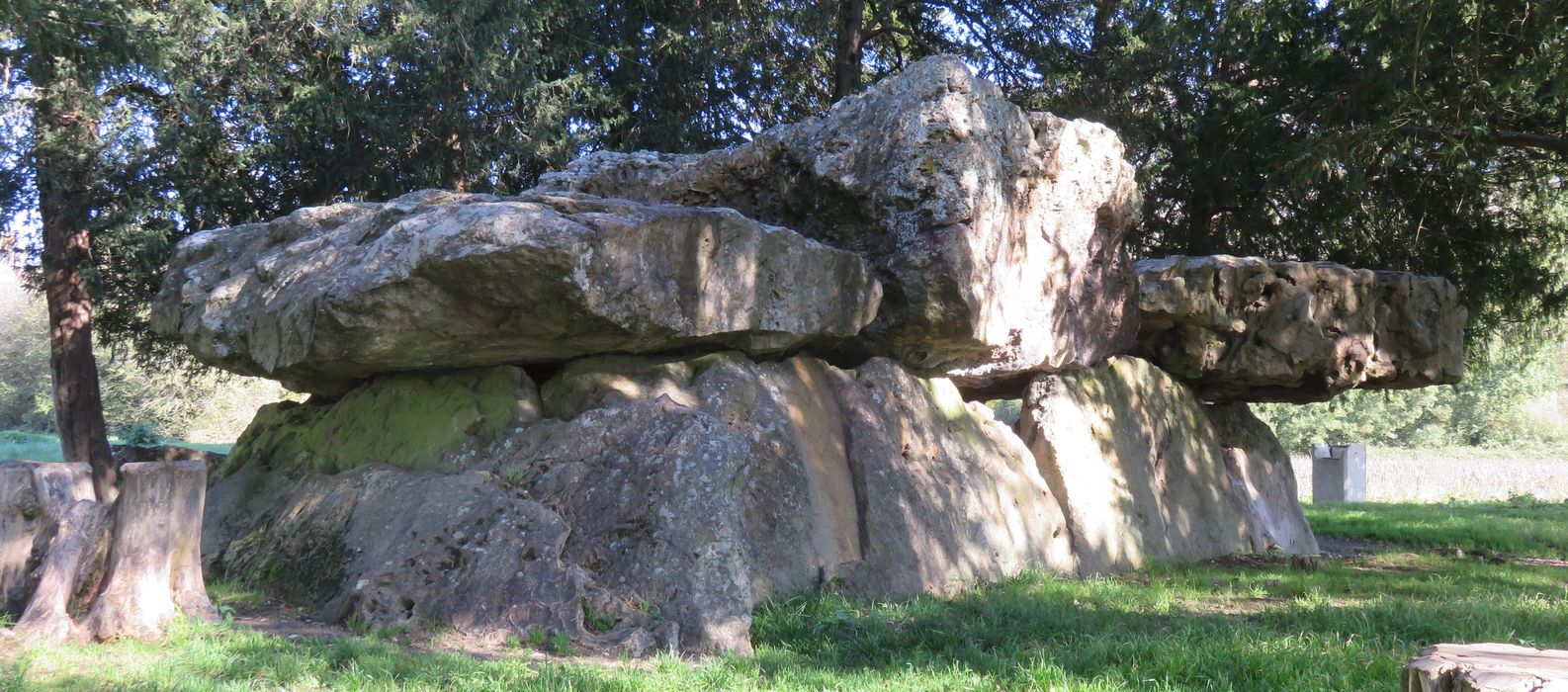 Dolmen dit de Mettray ou de la Grotte aux Fées, vue générale