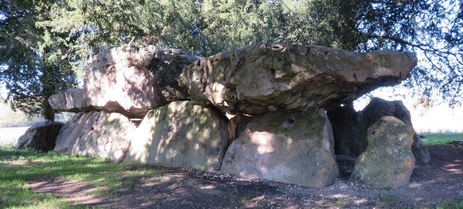 Dolmen dit de Mettray ou de la Grotte aux Fées, vue générale