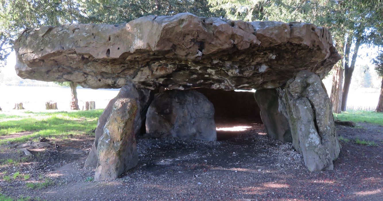 Dolmen dit de Mettray ou de la Grotte aux Fées, vue générale